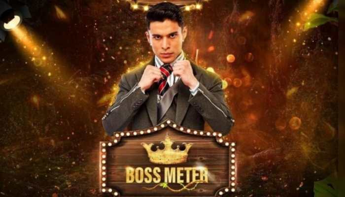 EXCLUSIVE: I feel like having won the show already after getting so much love, says BB 15's Pratik Sehajpal