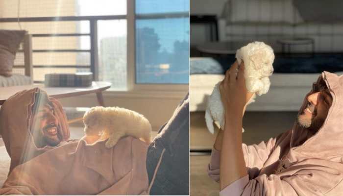 Kartik Aaryan shares adorable video with his 'four legged' love