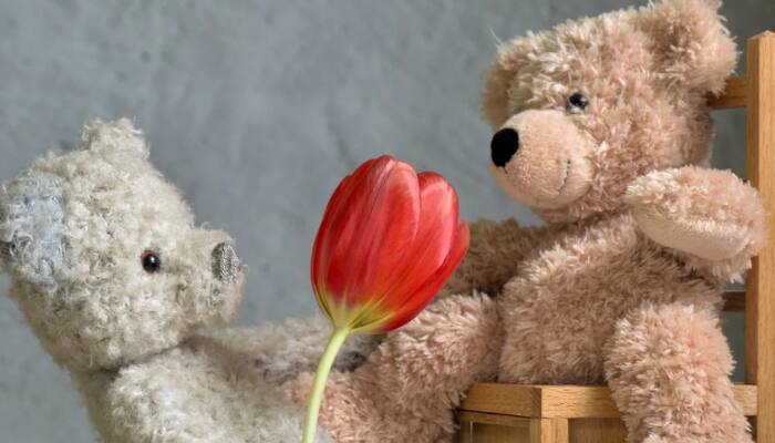 Happy Teddy Day 2022: Greetings, wishes, messages to share with your partner on February 10