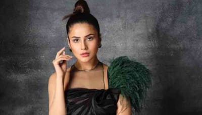 Bigg Boss 13 fame Shehnaaz Gill plays with pigeons on a beach in cheerful video, fans elated