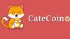 Binancecat revealed to be Catecoin as Memecoin shows potential 100x return in 2022