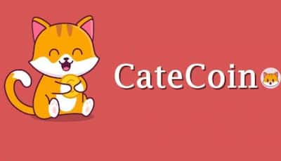 Binancecat revealed to be Catecoin as Memecoin shows potential 100x return in 2022