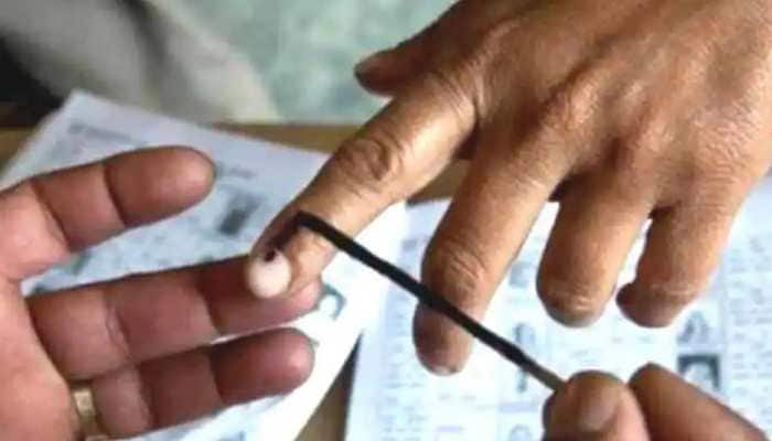 Goa votes today: 40 seats, 301 candidates, 11 lakh voters - all details here