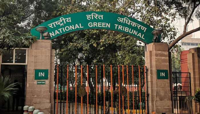 NGT rejects plea for using 10-year-old diesel vehicle in Delhi