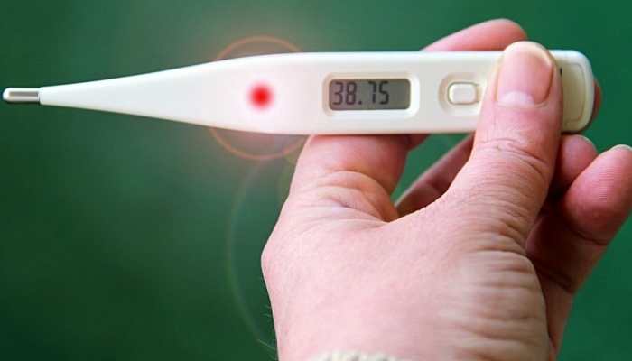 Virus alert! What's Lassa fever that is making the world nervous - Know all about it