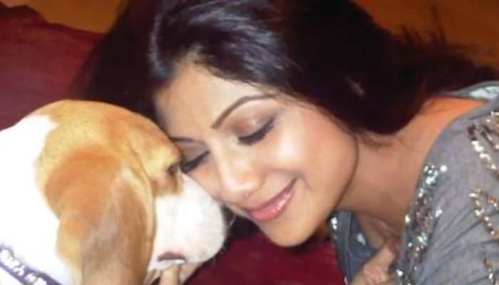 Shilpa Shetty mourns loss of her dog Princess with emotional video