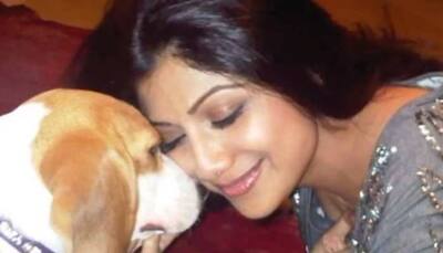 Shilpa Shetty mourns loss of her dog Princess with emotional video