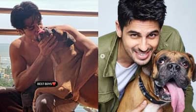 Sidharth Malhotra, Kiara Advani heartbroken at the death of his dog Oscar, Bollywood sends love 
