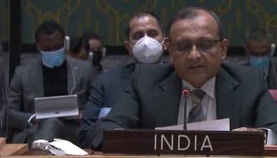 India, China abstain on UNSC resolution against Russia; here's what New Delhi said