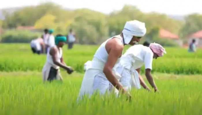 PM Kisan Yojana: Here’s how farmers can add names to list, check status 