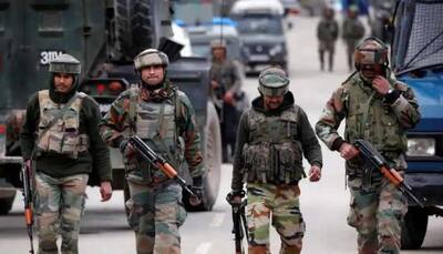 Indian army apprehends infiltrator at LoC in Mendhar