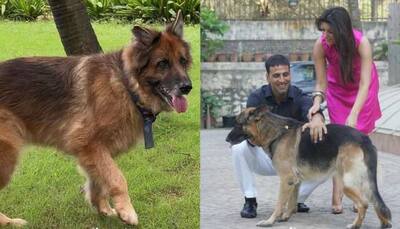 'You took a part of our hearts with you': Akshay Kumar mourns demise of his dog Cleo