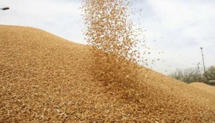 India is in final talks to start wheat export to Egypt