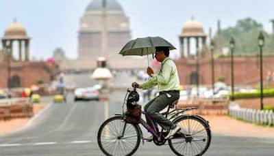 Delhi witnesses ‘hottest day’ of the year, records nearly 40 degrees Celsius on March 20