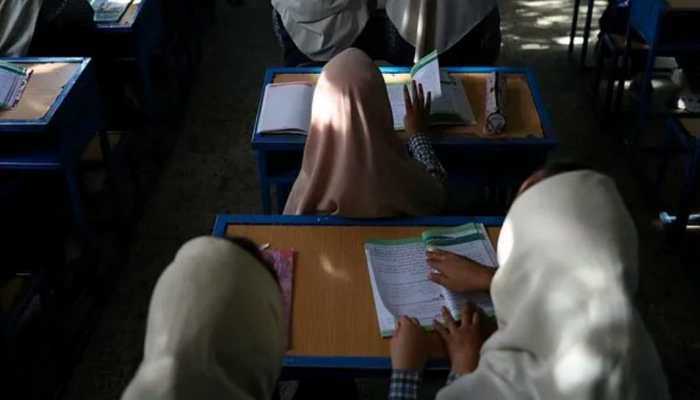 US envoy to UN condemns Taliban&#039;s decision on banning girls over grade six in schools