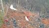 China plane accident