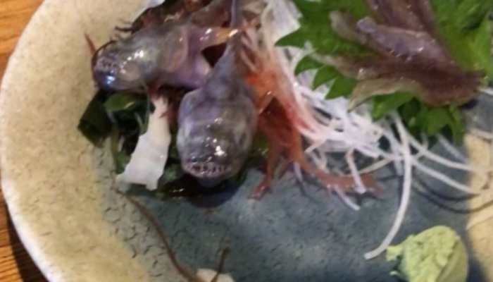 'Freshness guaranteed': Fish on a platter comes alive, bites guest's chopsticks in viral video - WATCH
