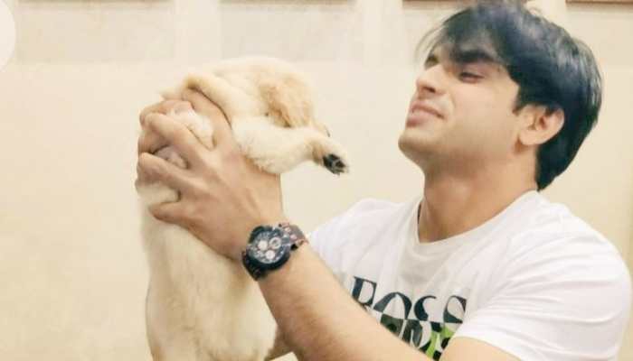 Remember the cute puppy gifted to Neeraj Chopra by Abhinav Bindra? He&#039;s all grown up now! Here&#039;s PIC
