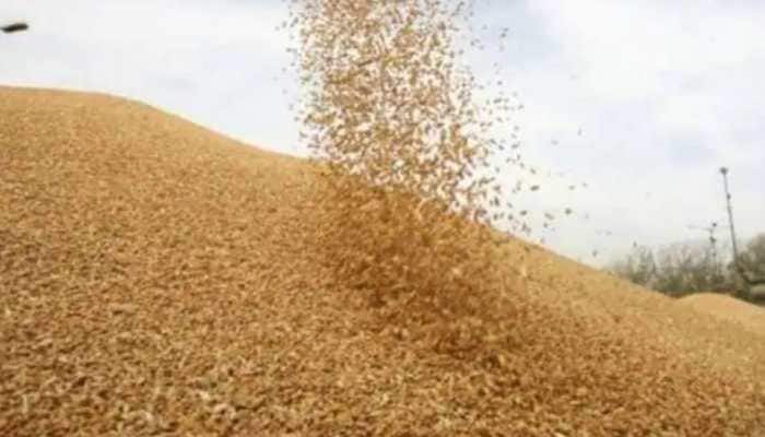 Amid Russia-Ukraine war, India’s wheat exports likely to cross 100 lakh tonnes 