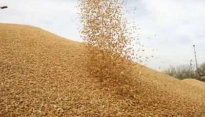 Amid Russia-Ukraine war, India’s wheat exports likely to cross 100 lakh tonnes 