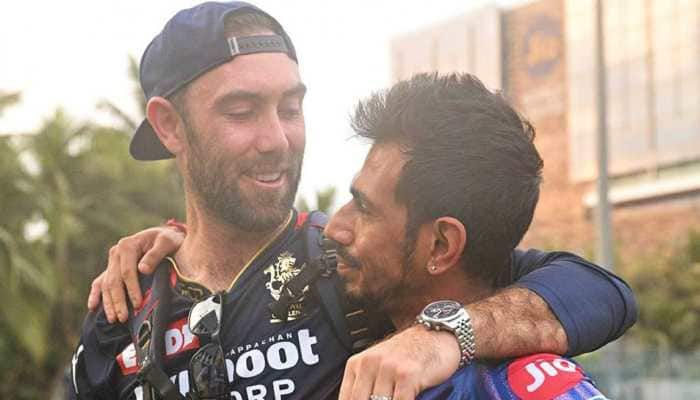 IPL 2022: Glenn Maxwell and Josh Hazlewood to be available for RCB on THESE dates