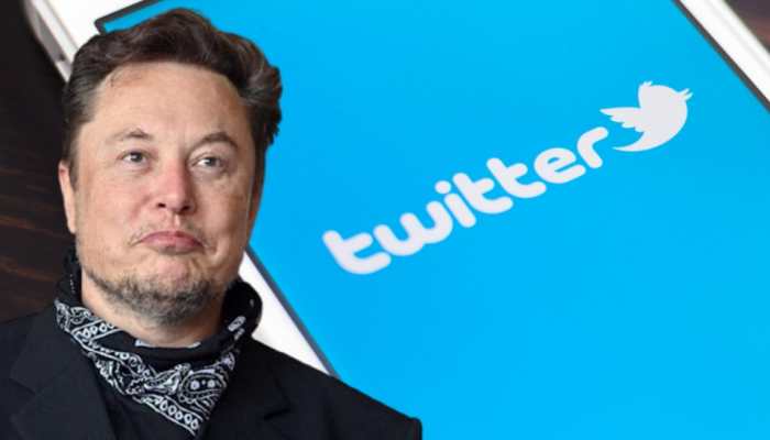 Who are the top 10 shareholders of Twitter besides Elon Musk? Full list here