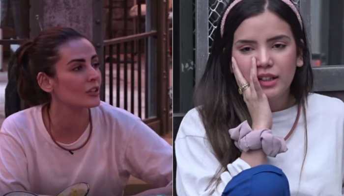 Lock Upp Day 35 written updates: Azma Fallah throws water on Mandana Karimi to provoke her