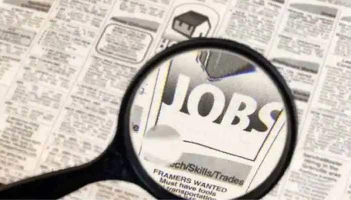 DDA Recruitment 2022: Apply for 378 assistant, data entry jobs at becil.com, details here