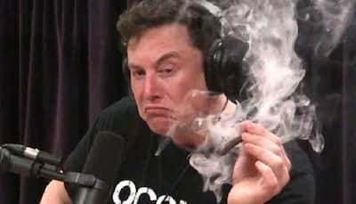 ‘Twitter’s next board meeting is gonna be lit’, Elon Musk jokes about smoking weed at upcoming meet 