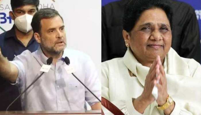 Congress had offered UP CM post to Mayawati but she &#039;did not even talk to us&#039;: Rahul Gandhi