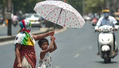 Delhi records heatwave for fourth consecutive day