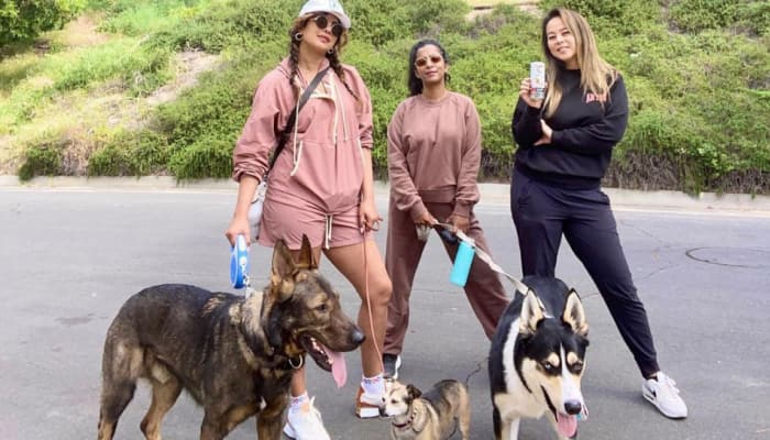 Priyanka Chopra enjoys a &#039;Soul Sunday&#039; with her girls and pups, wears rose pink shorts and jacket