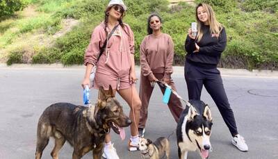 Priyanka Chopra enjoys a 'Soul Sunday' with her girls and pups, wears rose pink shorts and jacket