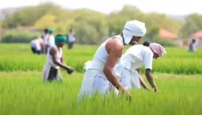 PM Kisan Yojana: 11th installment to be released soon; check how to add name to beneficiary list 