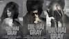 Dil Hai Gray film