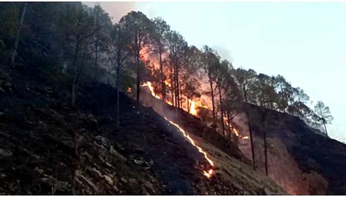 Massive fire breaks out in Jharkhand&#039;s Bigha forest, 4 injured