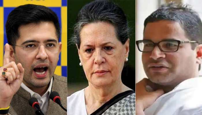 &#039;Congress is a dead horse&#039;: AAP reacts to poll strategist Prashant Kishor meeting Sonia Gandhi