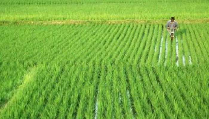 PM Kisan Yojana: Know 11th installment date; steps to add name to beneficiary list