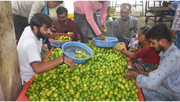 &#039;Special Puja&#039; organised at Varanasi temple to bring down prices of lemon