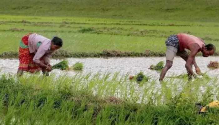 Retail inflation for farm, rural workers rises to 6.09%, 6.33% in March 2022