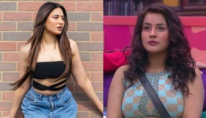 Shehnaaz Gill fans say 'karma' after Mahira Sharma gets fat-shamed during interview!