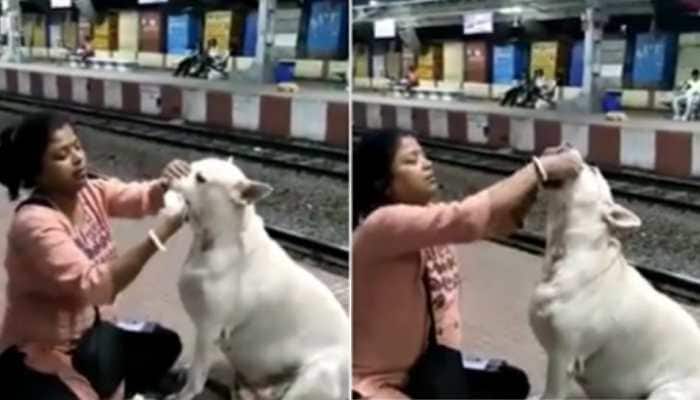 Trending news: Woman feeds dog at railway station in West Bengal, video goes viral- Watch