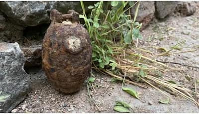 Bomb scare: Old rusted grenade found in South West Delhi, disposal squad sent