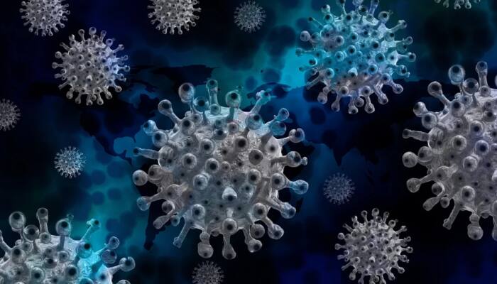 BA.12 variant detected in India! Is it dangerous? Here's all you need to know about new Omicron strain