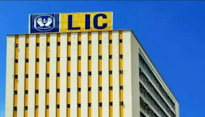LIC IPO opens on Wednesday: All you need to know