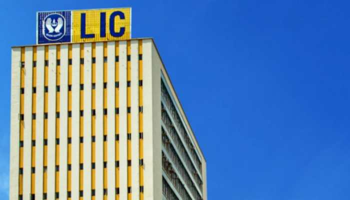 LIC IPO sees 'excellent' response from anchor investors