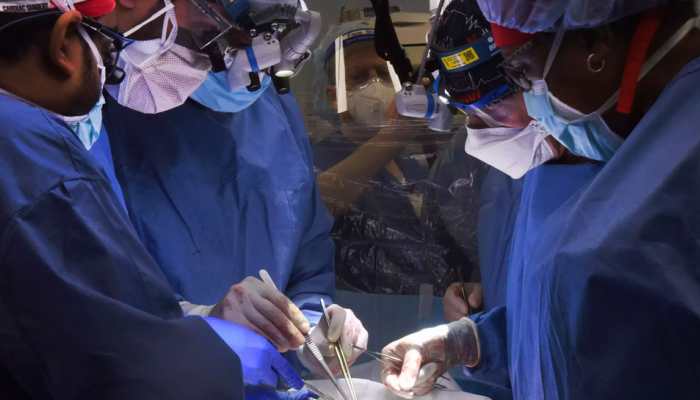 Virus found in pig heart used in first animal-to-human transplant in US