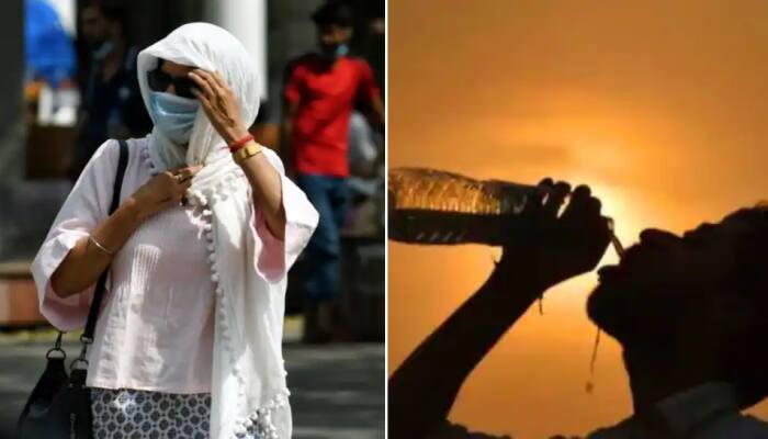 Weather update: After slight relief, Delhi to witness fresh heatwave spell from Monday