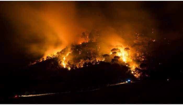 New Mexico wildfires turn into firefighters&#039; nightmare as strong winds worsen blaze