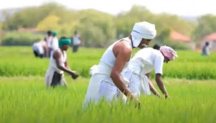 PM Kisan Yojana: Ahead of 11th instalment, govt to retrieve funds from 3.15 lakhs farmers, check details